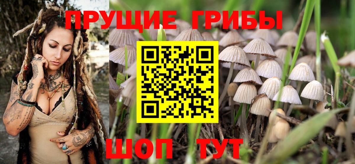 Галлюциногенные грибы GOLDEN TEACHER Буйнакск